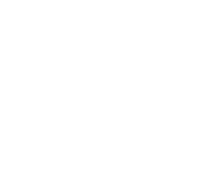 Le Vendeur Automobiles